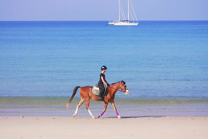 Phuket Beach and Horse Rides 1 Hour Experience - Experience Overview