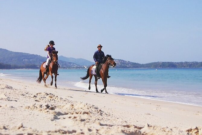 Phuket Beach and Horse Rides 1 Hour Experience - Customer Reviews and Feedback