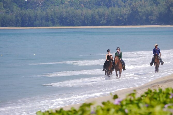 Phuket Beach and Horse Rides 1 Hour Experience - Cancellation and Refund Policy