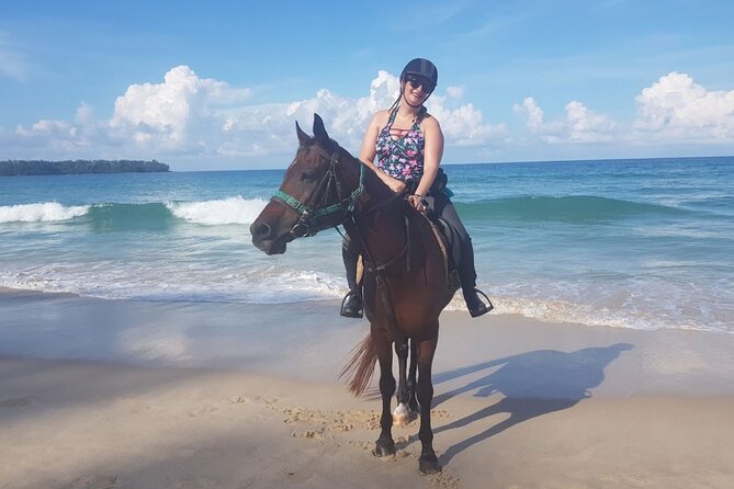 Phuket Beach and Horse Rides 1 Hour Experience - Customer Reviews and Feedback