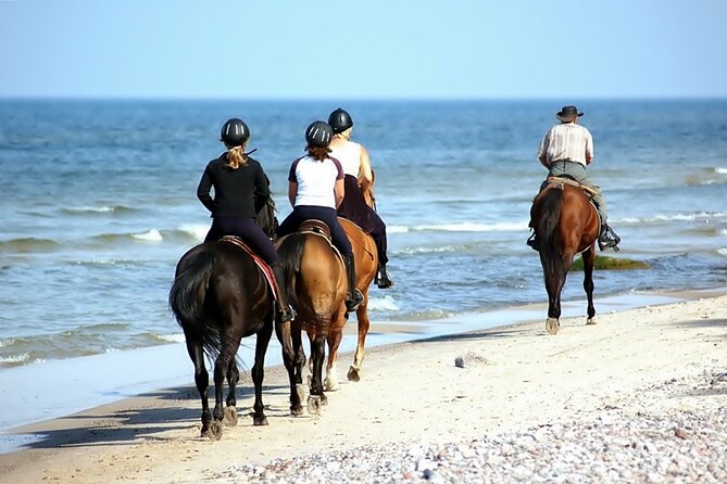 Phuket Beach and Horse Rides 1 Hour Experience - Additional Information