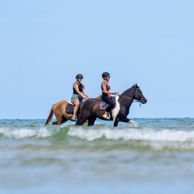 Phuket Beach Horseback Adventure - What to Expect During the Ride