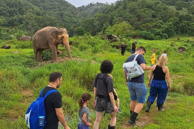 Phuket Best: City Tour & Elephant Park Experience - Inclusions