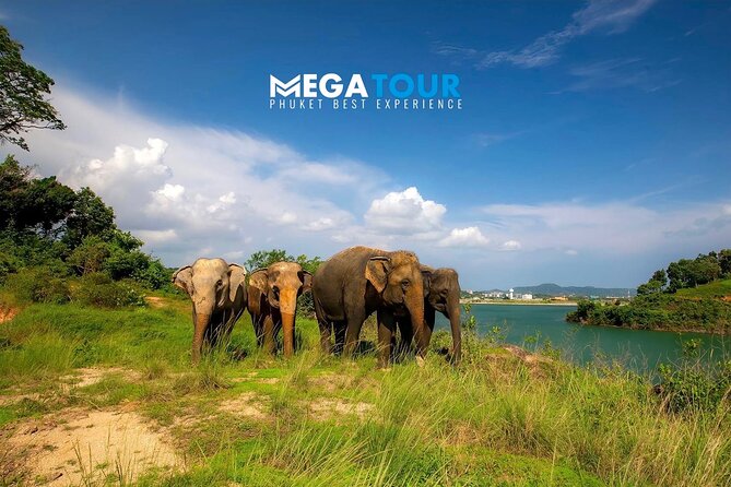Phuket Best: City Tour & Elephant Park Experience - Pickup and Timing