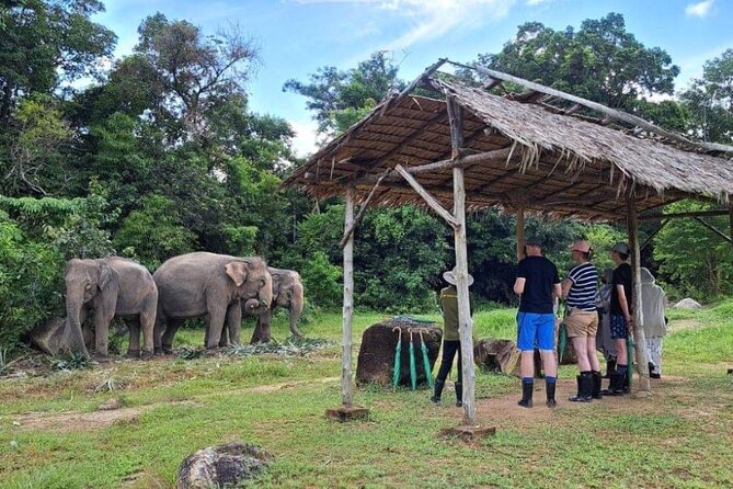Phuket Best: City Tour & Elephant Park Experience - Tour Experience