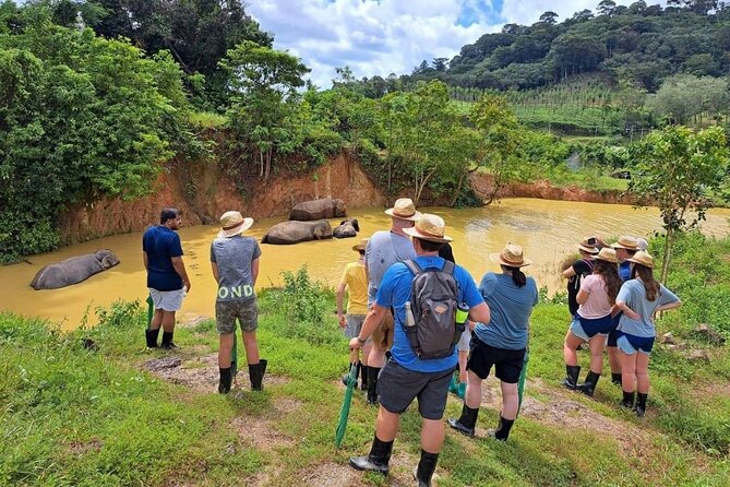 Phuket Best: City Tour & Elephant Park Experience - Customer Feedback