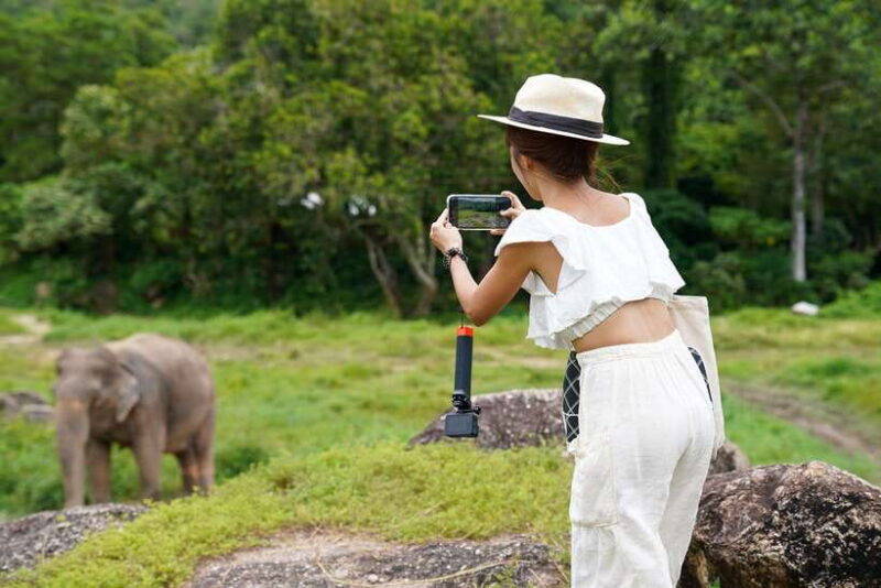 Phuket: Bukit Elephant Park Sanctuary Walk and Feed Tour - Ethical Practices and Guidelines