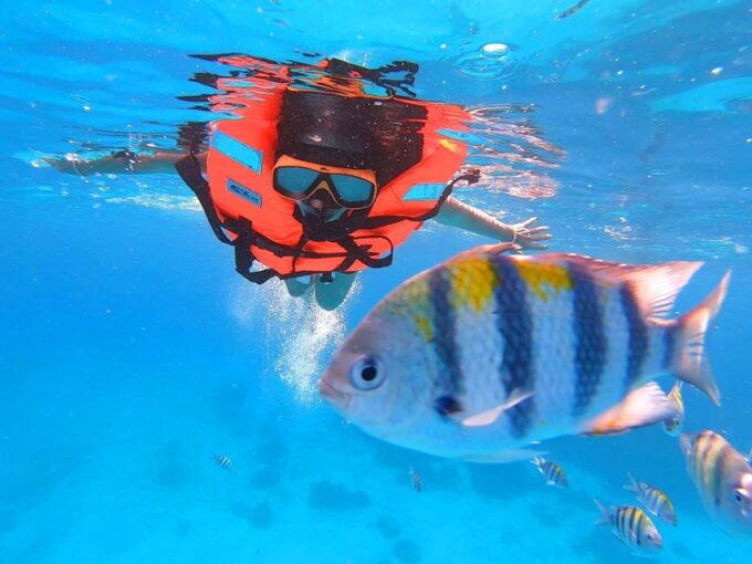 Phuket: Catamaran Cruise to Promthep Cave With Sunset Dinner - Frequently Asked Questions