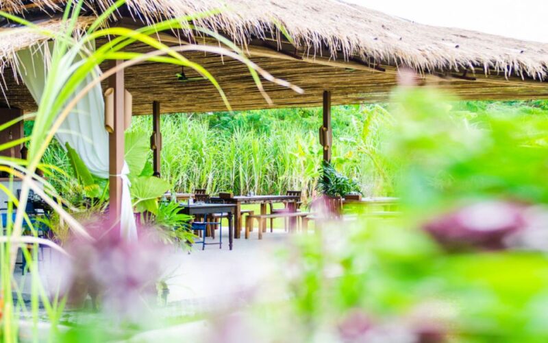 Phuket: Chalong Bay Rum X Big Buddha Half Day Private Tour - Inclusions and Exclusions