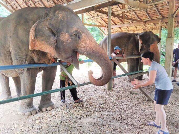 Phuket: Cheow Lan Lake Overnight With Elephant Day Care - Included Services