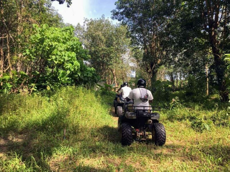 Phuket City Tour with ATV Adventure and Elephant Feeding - Final Words