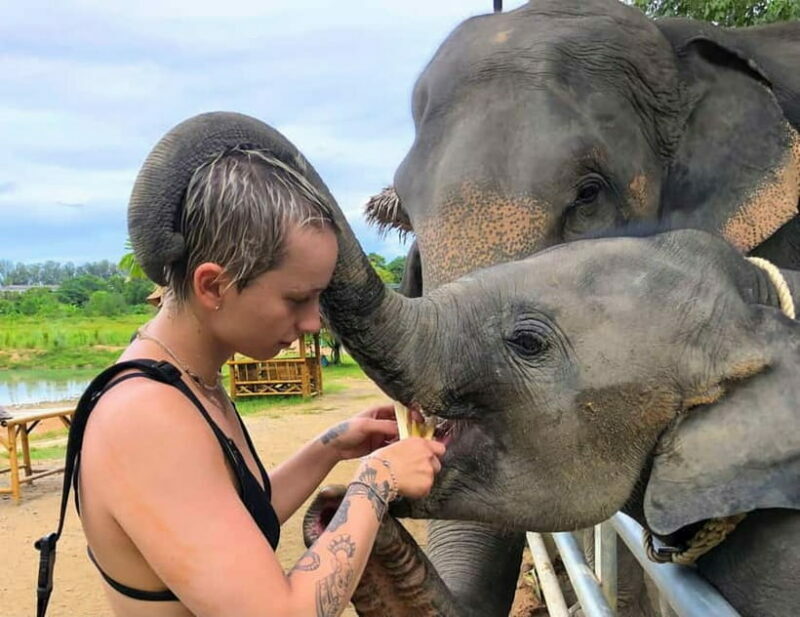 Phuket City Tour with Night Market Visit & Elephant Feeding - Introduction