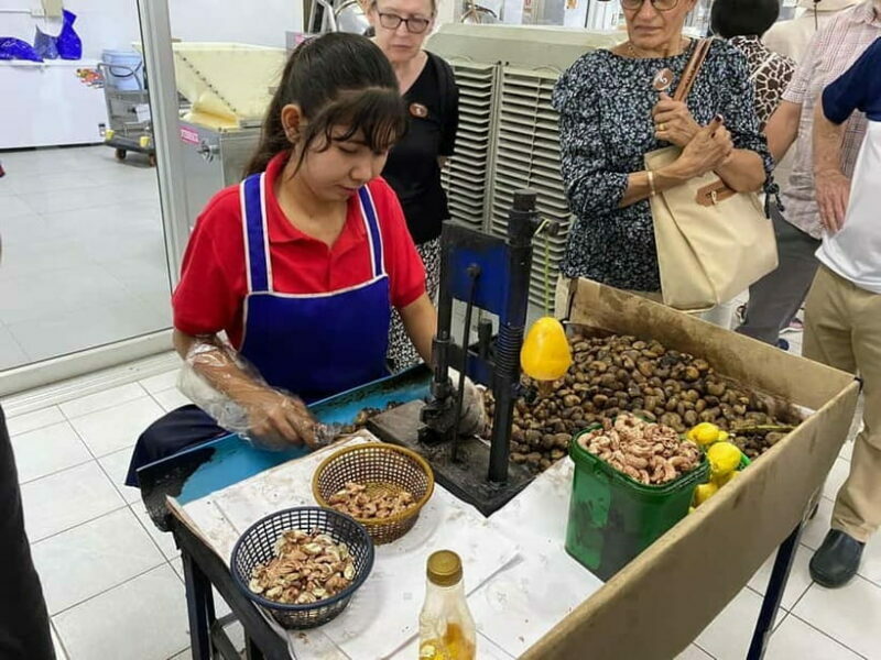 Phuket City Tour with Night Market Visit & Elephant Feeding - Key Points