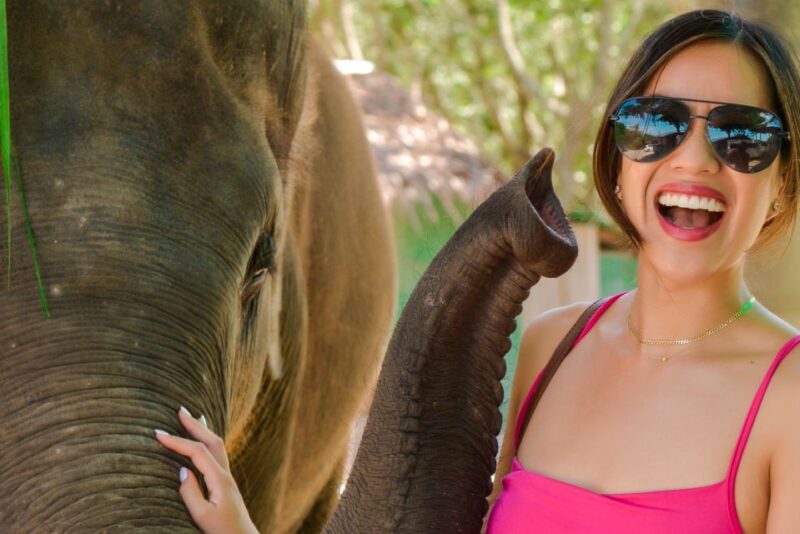 Phuket City Tour With Professional Photographer - Customer Reviews and Feedback