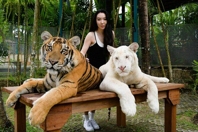 Phuket City tour with Tiger Experience (Best Seller) - Key Points