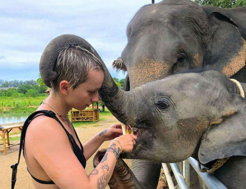 Phuket City Tour with Viewpoints, Temples & Elephant Feeding - Practical Details and Value