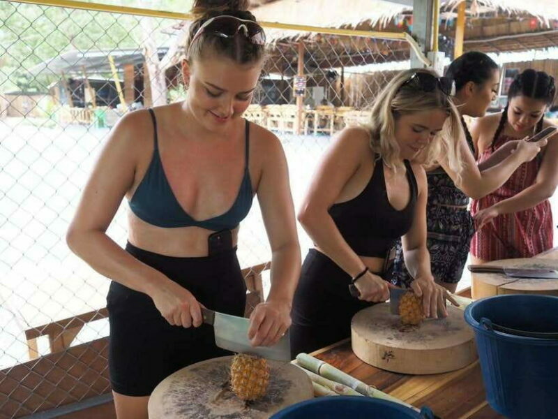 Phuket City Tour with Viewpoints, Temples & Elephant Feeding - Final Thoughts