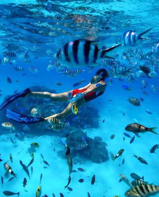 Phuket: Coral and Racha Lslands Catamaran Tour With Lunch - Frequently Asked Questions