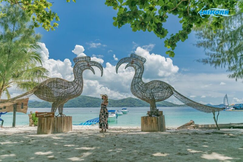 Phuket: Coral Island Day Trip and Sunset Dinner by Catamaran - Important Information