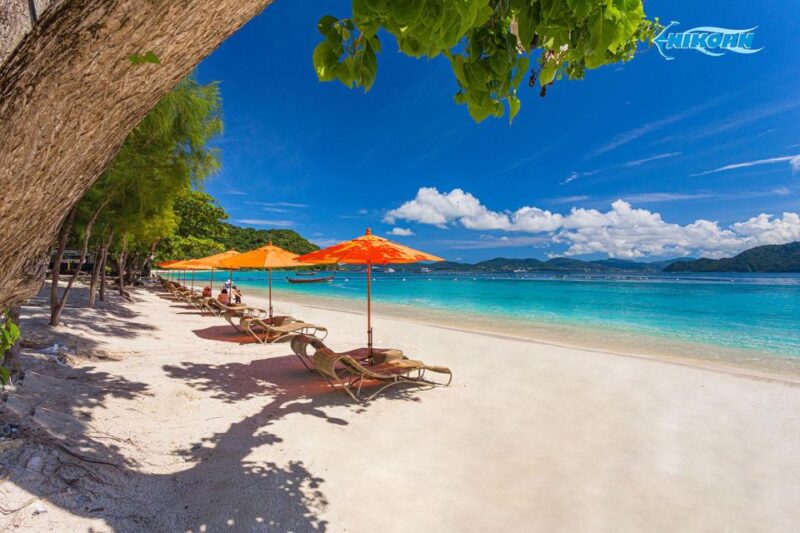 Phuket: Coral Island Half-Day Tour by Speedboat - Important Information