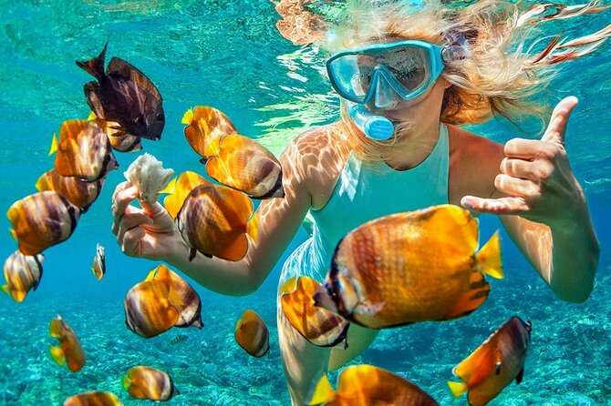 Phuket Coral Island Private Snorkeling Adventure All Inclusive - Snorkeling Opportunities