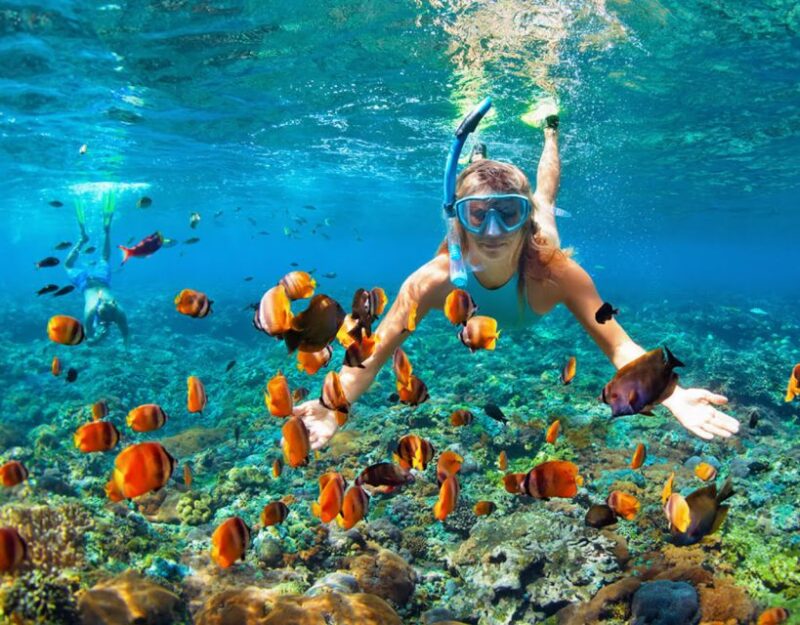 Phuket Coral Island Snorkeling Adventure (Private Speedboat) - Key Points
