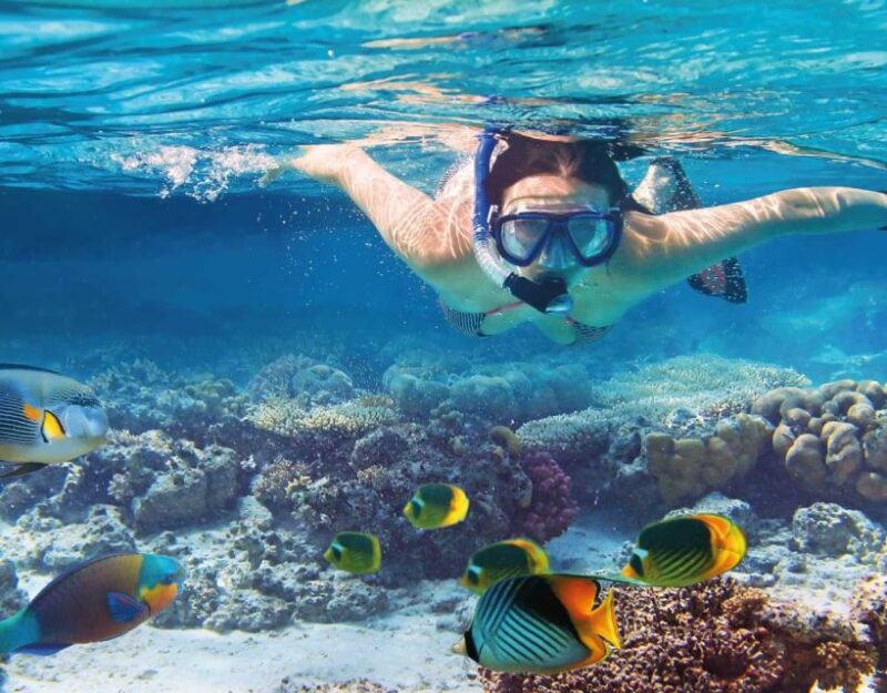 Phuket Coral Island Snorkeling Adventure (Private Speedboat) - Highlights and Activities