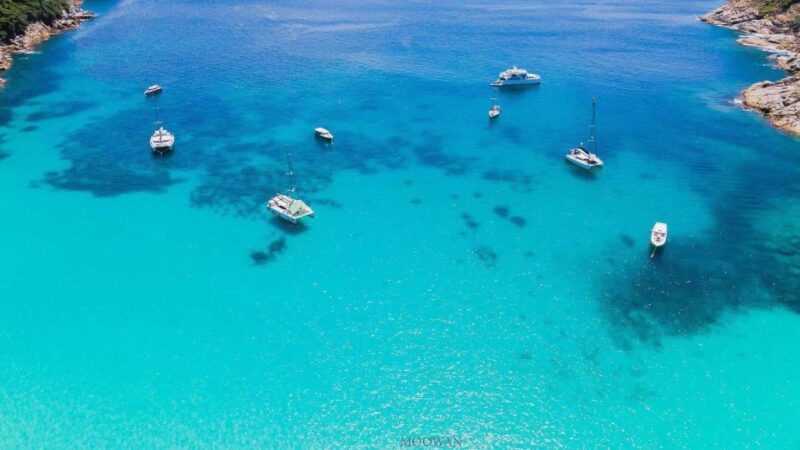 Phuket: Coral & Racha Islands Day Trip By Speedboat - Highlights of the Tour