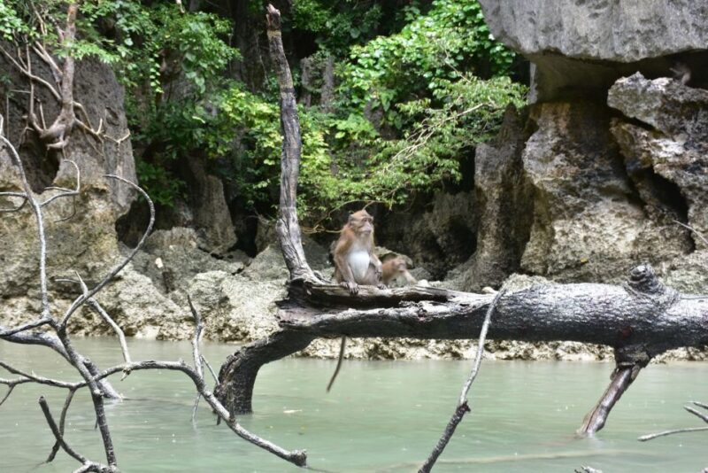 Phuket: Day in the Islands Kayaking Adventure - Key Points