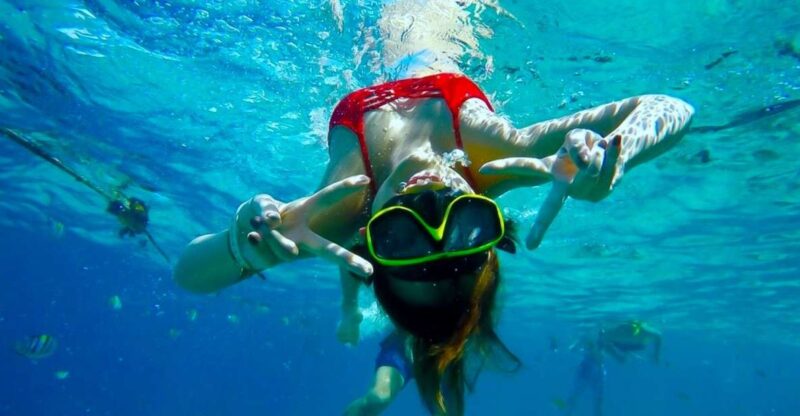 Phuket: Deluxe Phi Phi Tour by Speedboat & Lunch Buffet - Key Points