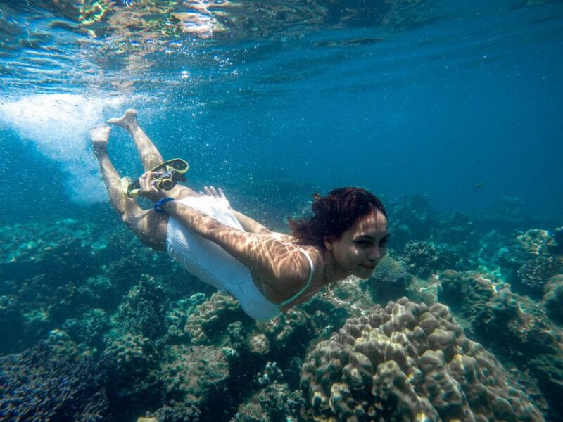 Phuket: Deluxe Phi Phi Tour by Speedboat & Lunch Buffet - Itinerary Highlights