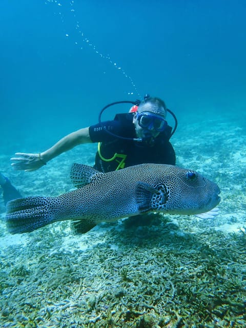 Phuket: Discover Scuba Diving 2 Dives Racha Yai FREE PHOTOS - Additional Information