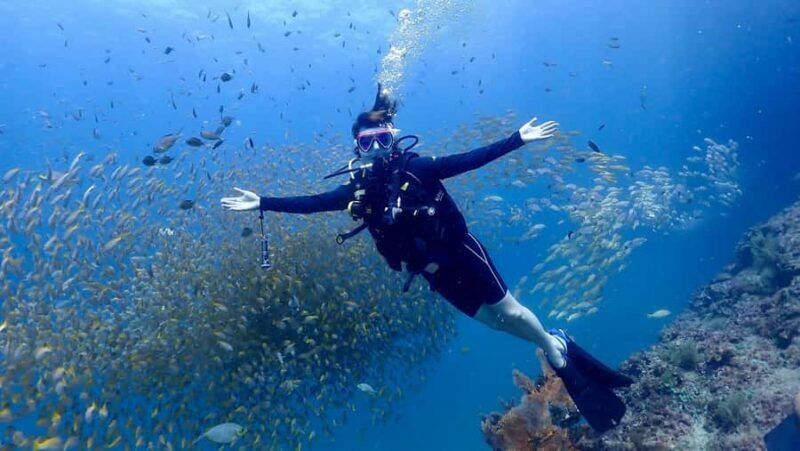Phuket: Discover Scuba Diving to Racha Yai Island - A Closer Look at the Experience