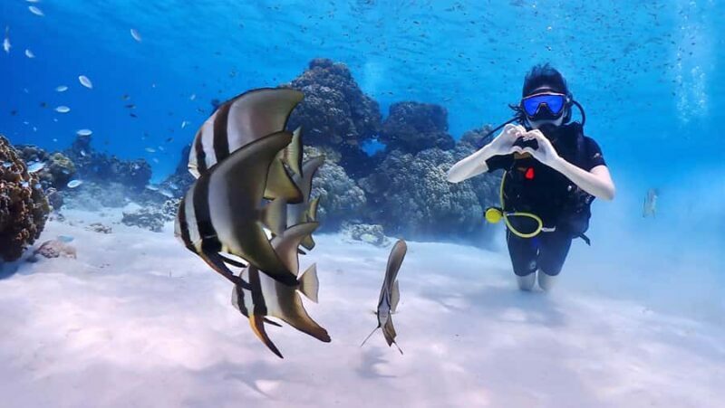 Phuket: Discover Scuba Diving to Racha Yai Island - Considerations & Practical Tips