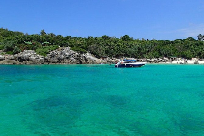 Phuket Dolphin Quest: Racha & Maiton Island Expedition - Disappointments Expressed
