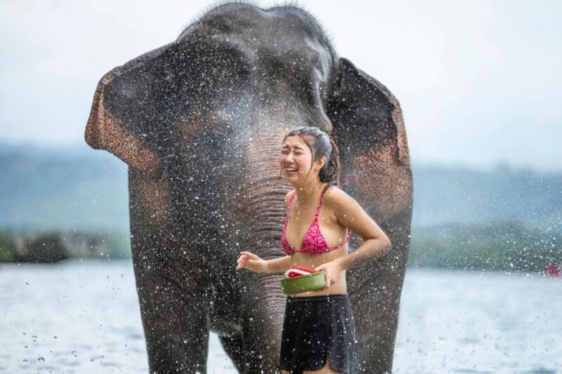 Phuket: Elephant Care Camp Visit and Elephant Jungle Walk - Itinerary and Activities