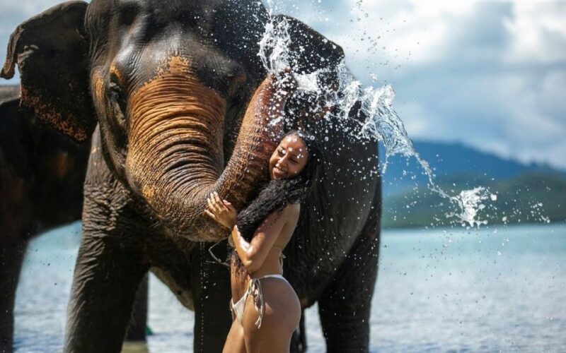Phuket: Elephant Care Camp Visit and Elephant Jungle Walk - Inclusions and Exclusions