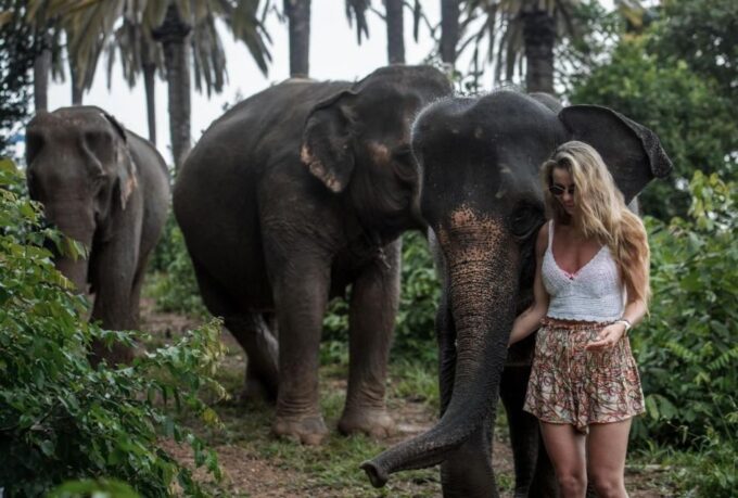 Phuket: Elephant Care Camp Visit and Elephant Jungle Walk - Recap