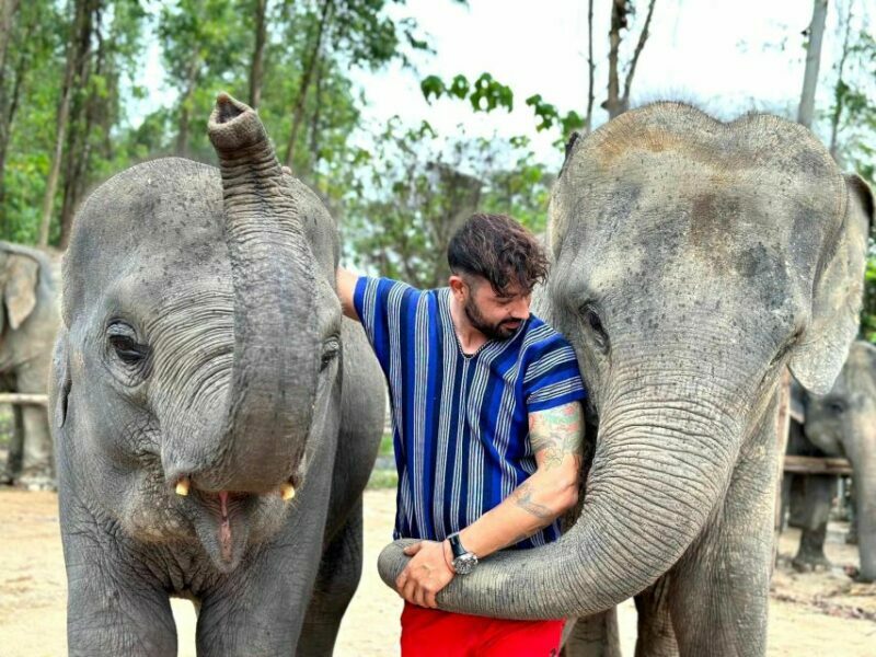 Phuket: Elephant Experience with Lunch or Dinner and Pickup - Considerations and Tips
