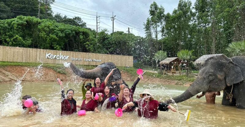 Phuket: Elephant Experience With Lunch or Dinner and Pickup - Pricing and Cancellation Policy