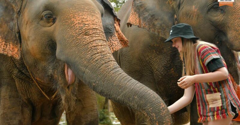 Phuket: Elephant Jungle Sanctuary Ethical Feeding Experience - FAQ