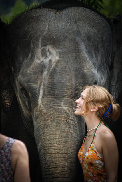 Phuket: Elephant Jungle Sanctuary Half-Day Visit With Meal - Experience Highlights