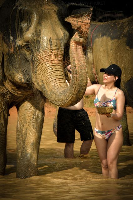 Phuket: Elephant Jungle Sanctuary Half-Day Visit With Meal - Itinerary Details