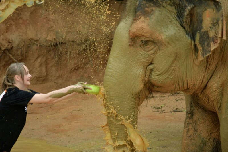 Phuket: Elephant Jungle Sanctuary Half-Day Visit With Meal - Accessibility and Policies