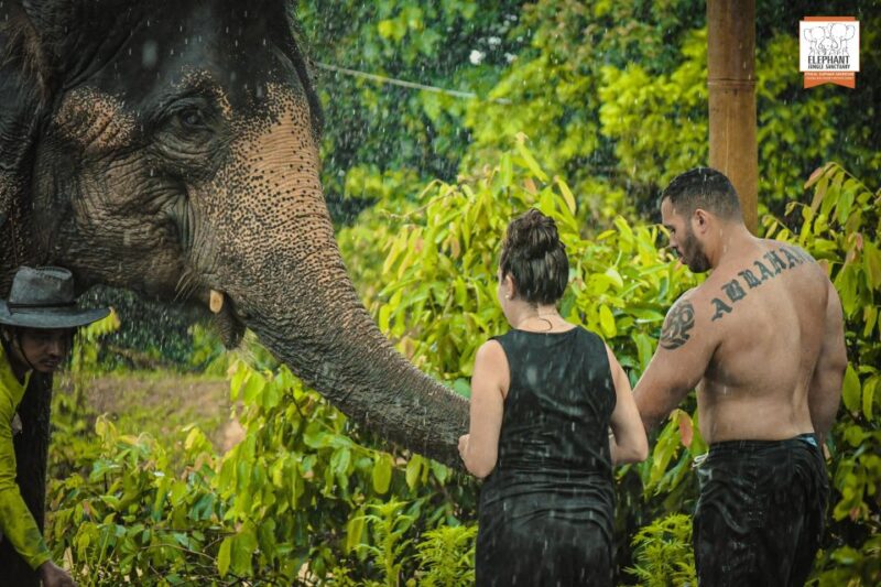 Phuket: Elephant Jungle Sanctuary Half-Day Visit With Meal - Elephant Care and Welfare