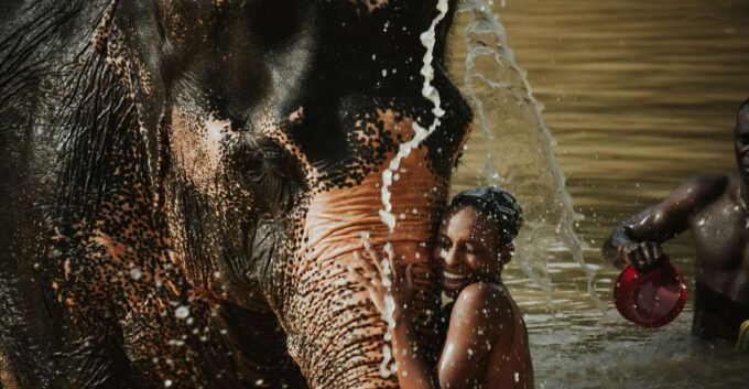 Phuket: Elephant Jungle Sanctuary Half-Day Visit With Meal - Getting to the Sanctuary