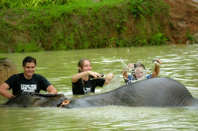 Phuket: Elephant Jungle Sanctuary Half-Day Visit With Meal - What to Expect on the Tour
