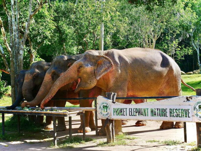 Phuket: Elephant Nature Reserve Entry Ticket and Guided Tour - Getting to the Phuket Elephant Nature Reserve