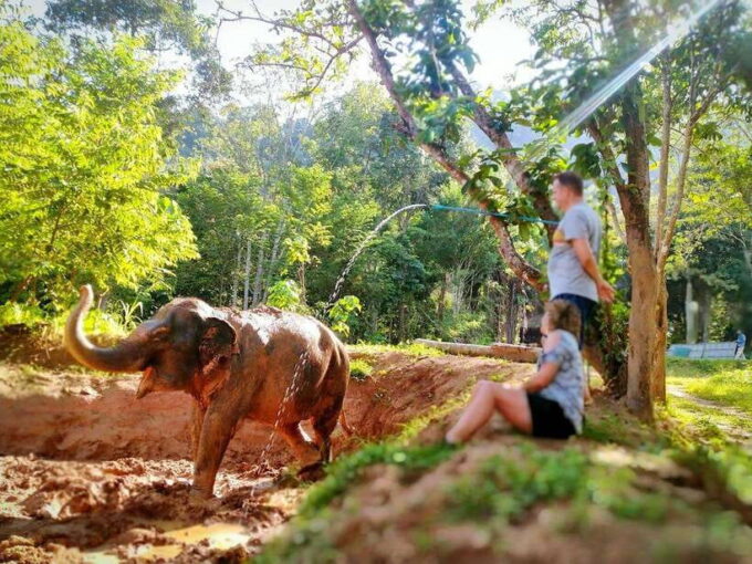 Phuket: Elephant Nature Reserve Entry Ticket and Guided Tour - Frequently Asked Questions