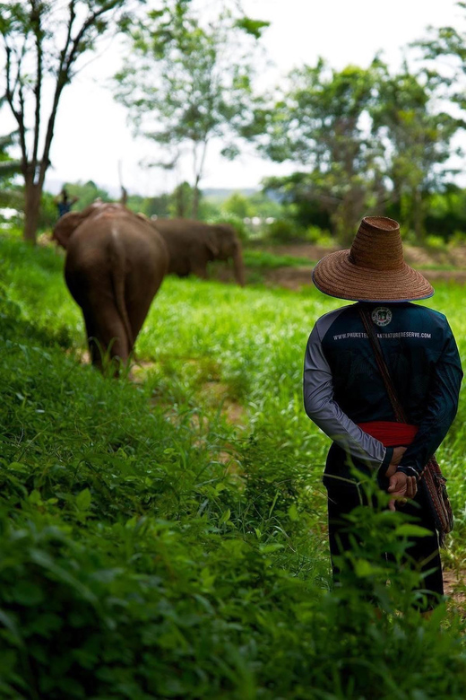Phuket Elephant Nature Reserve - Short 90min - Booking and Cancellation Details